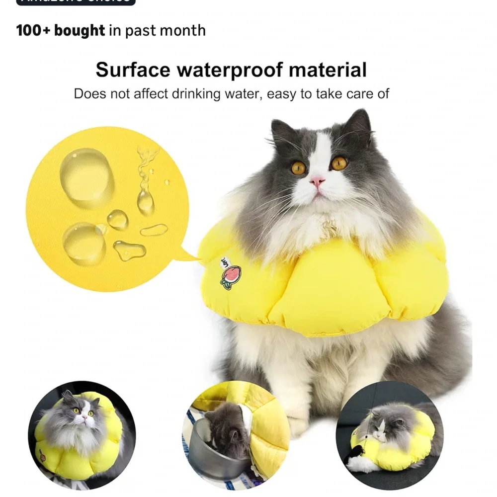 Yellow Cat Collar with Peach Embroidery